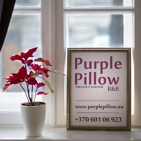 Purple Pillow B&B 3* Вільнюс