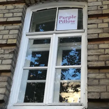 Purple Pillow B&B